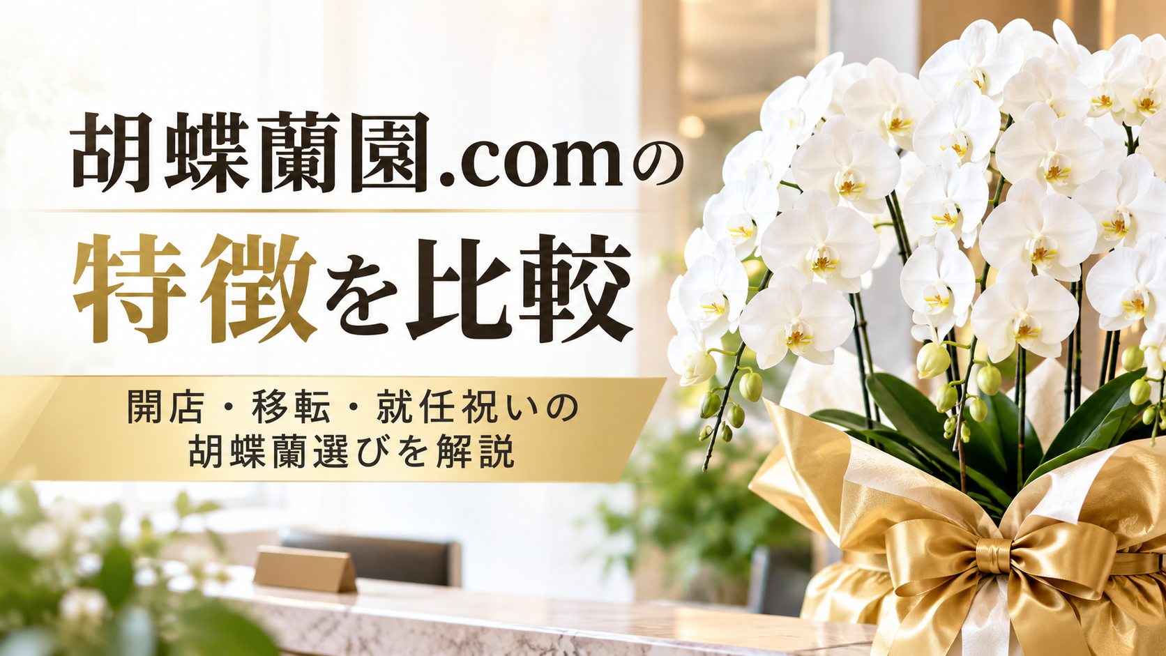 胡蝶蘭園.comの特徴を比較｜開店・移転・就任祝いの胡蝶蘭選びを解説